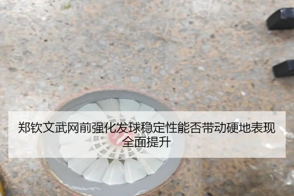 郑钦文武网前强化发球稳定性能否带动硬地表现全面提升